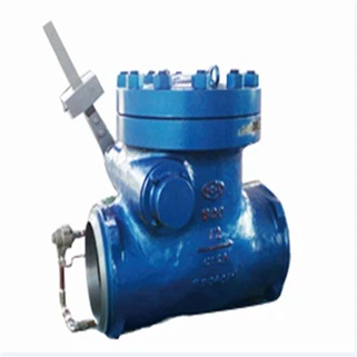 Extraction Check Valve